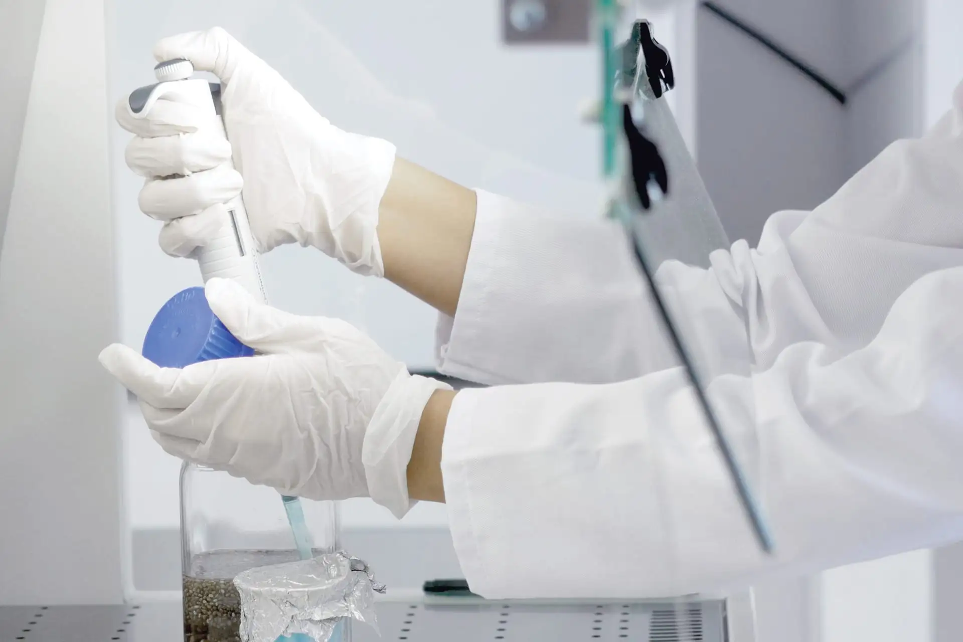 Laboratory technician pipetting a sample during quality control