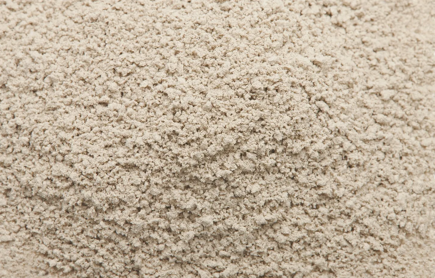 Chia protein powder seen up close