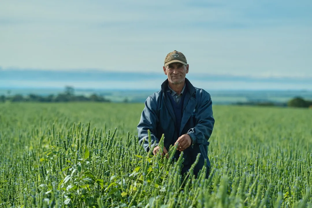 A partner farmer standing in his chia field